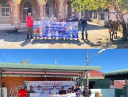 PLN Indonesia Power dan PLTU Labuhan Angin Serahkan Dua Ekor Hewan Qurban Idul Adha 1447H/2026M